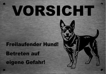 Edelstahl Hundechild Australian Cattle Dog VORSICHT Freilaufender Hund! Betreten auf eigene Gefahr!